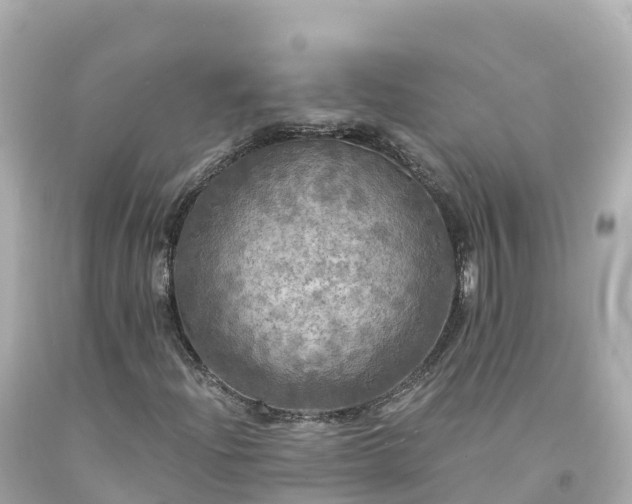 X0000094211204200711021108