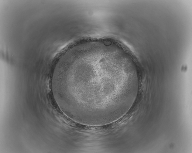 X0000094211205200711021108