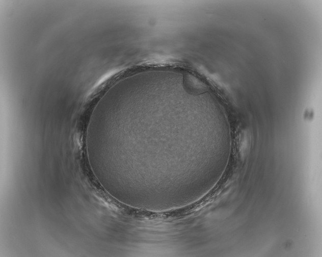 X0000094211206200711021108