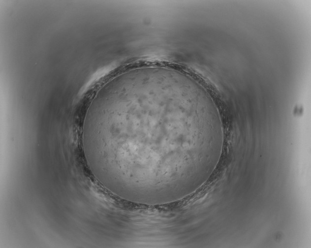 X0000094211207200711021108