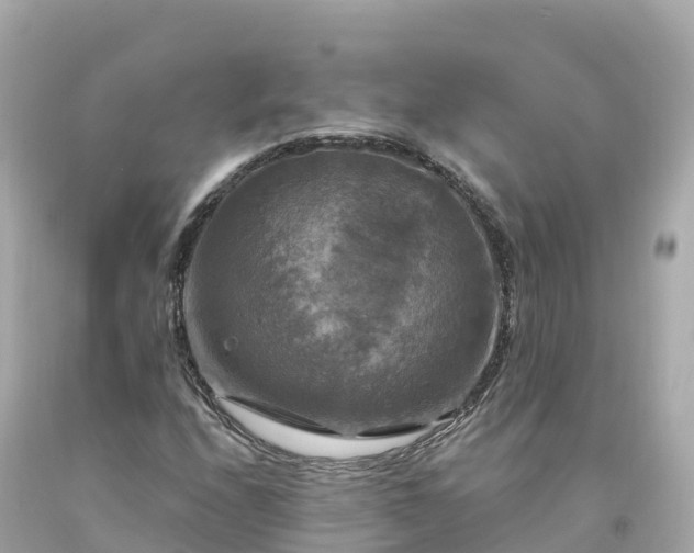 X0000094211208200711021108