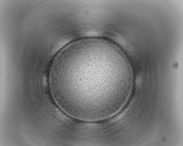 X0000094211209200711021108