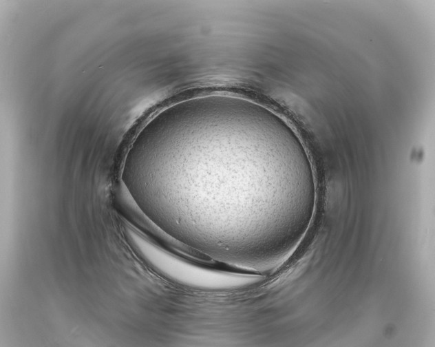 X0000094211210200711021108