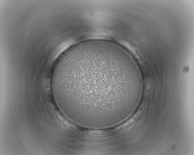 X0000094211211200711021108