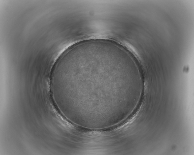X0000094211212200711021108
