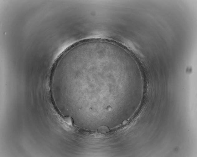 X0000094211216200711021108