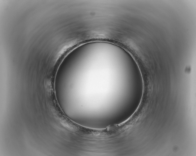 X0000094211218200711021108