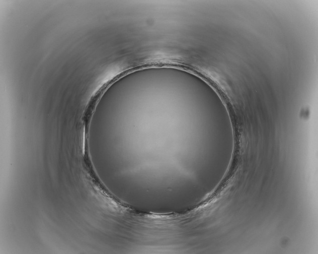 X0000094211219200711021108