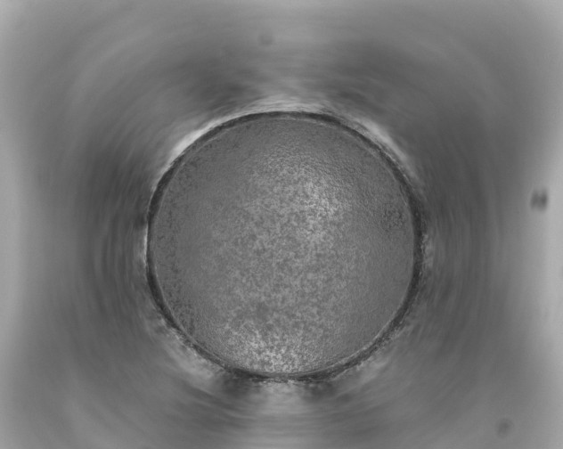 X0000094211220200711021108
