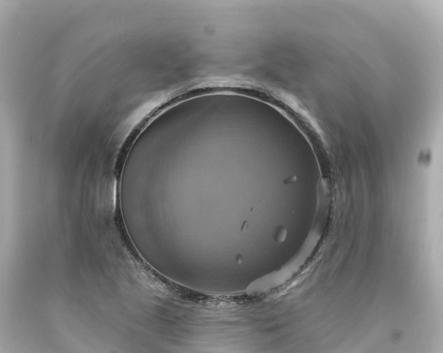 X0000094211221200711021108