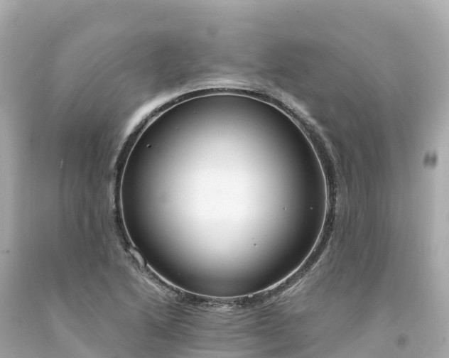 X0000094211222200711021108