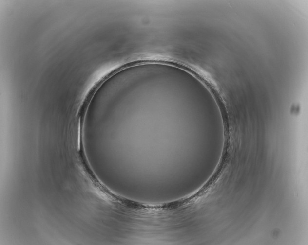 X0000094211223200711021108