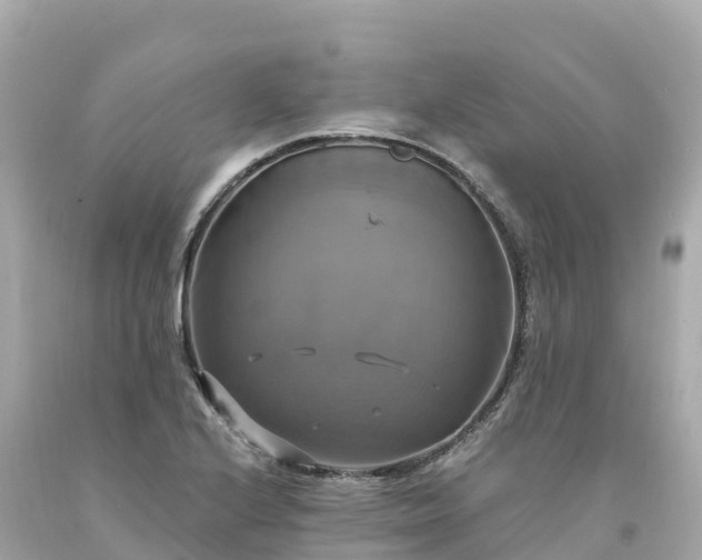 X0000094211224200711021108