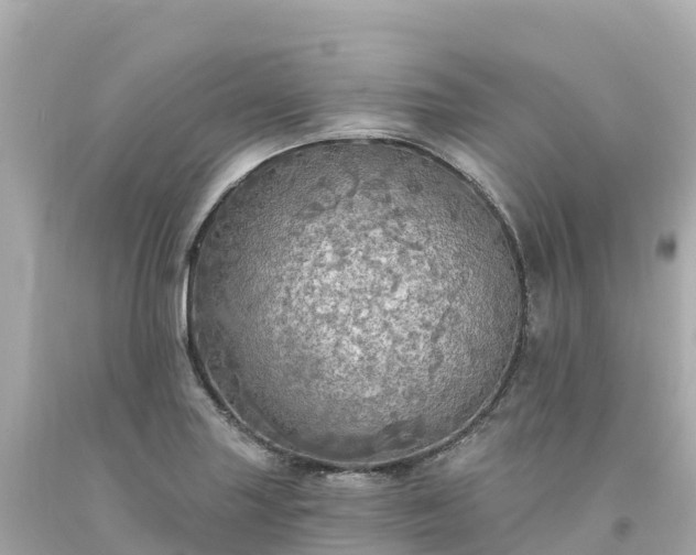 X0000094211227200711021108