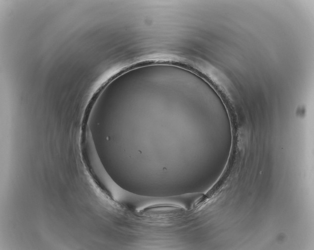 X0000094211229200711021108