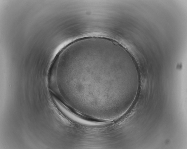 X0000094211230200711021108