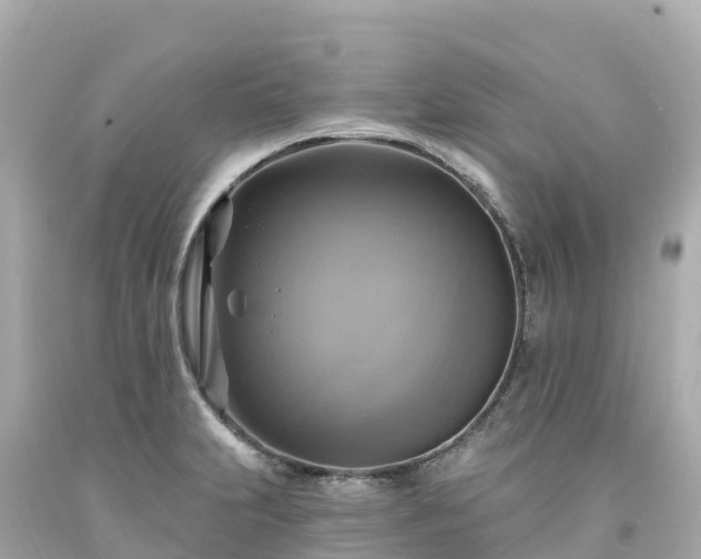 X0000094211231200711021108