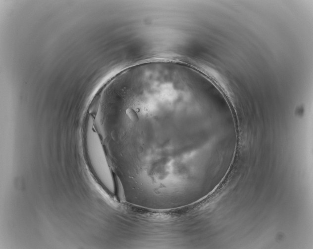 X0000094211235200711021108