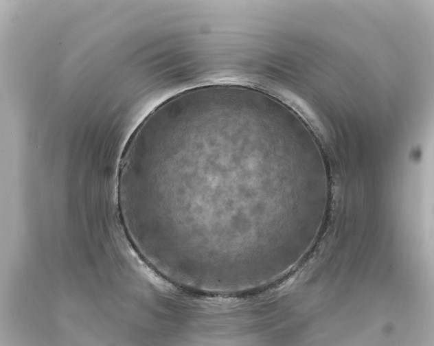 X0000094211236200711021108
