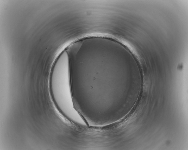 X0000094211237200711021108