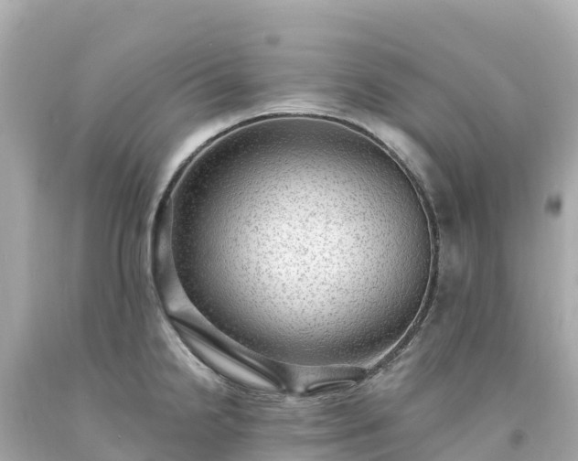 X0000094211238200711021108