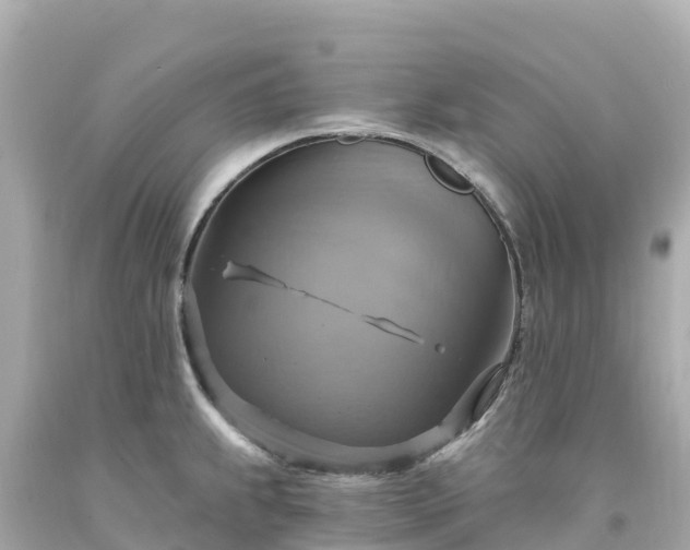 X0000094211239200711021108