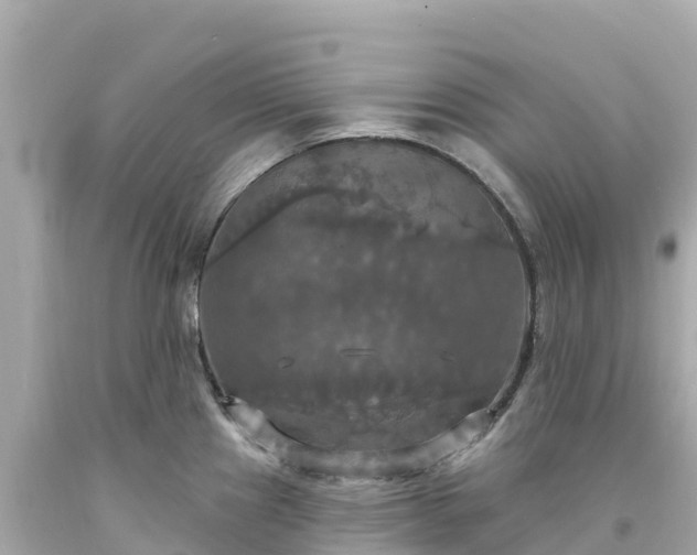 X0000094211241200711021108