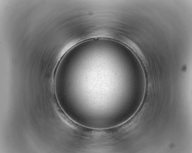 X0000094211242200711021108