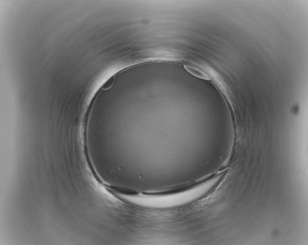 X0000094211243200711021108