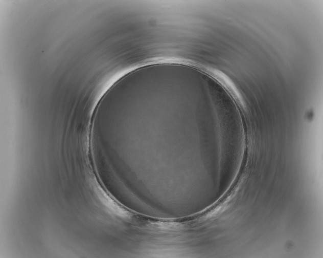 X0000094211244200711021108