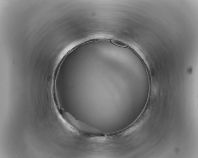 X0000094211245200711021108