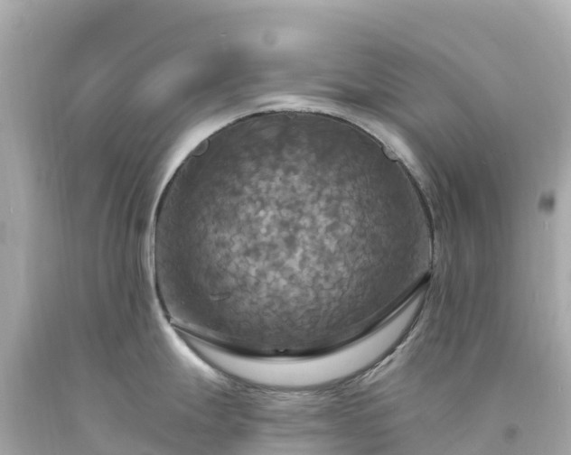 X0000094211247200711021108