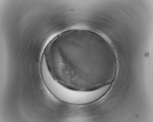X0000094211248200711021108