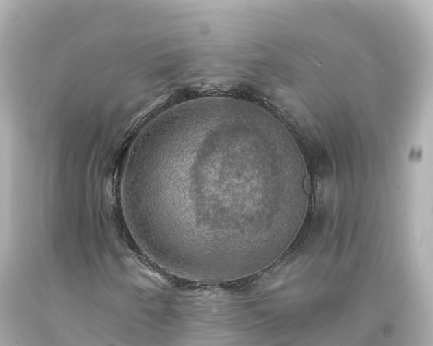 X0000094211250200711021108