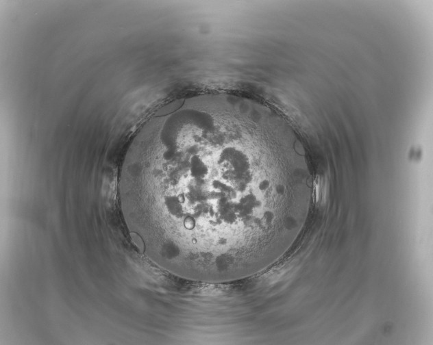 X0000094211251200711021108