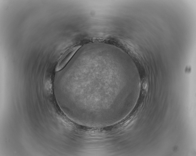 X0000094211252200711021108