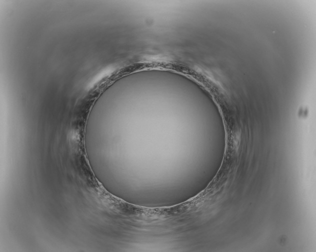 X0000094211254200711021108