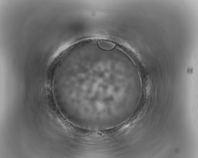 X0000094211255200711021108