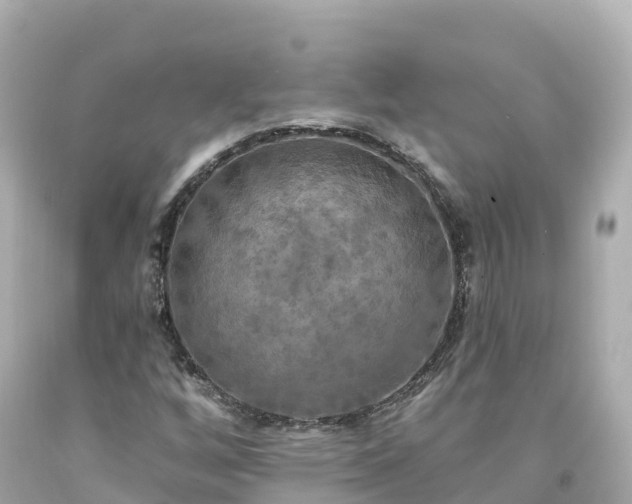 X0000094211256200711021108