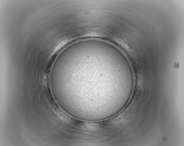 X0000094211258200711021108