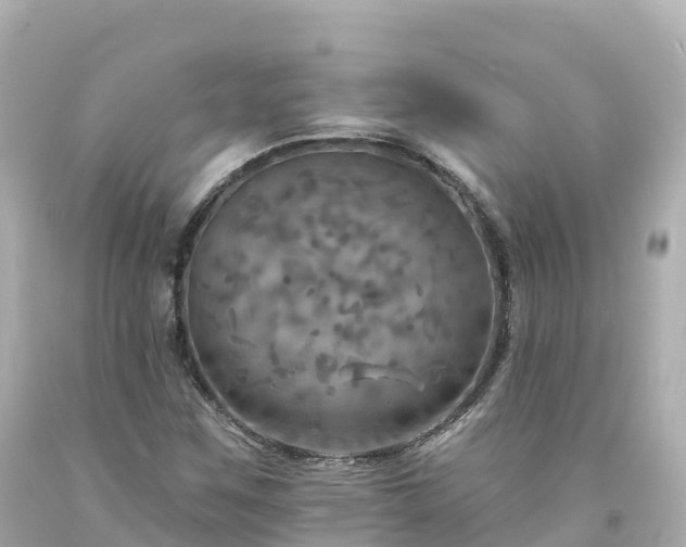 X0000094211259200711021108