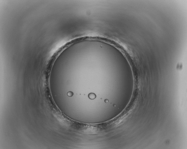 X0000094211263200711021107