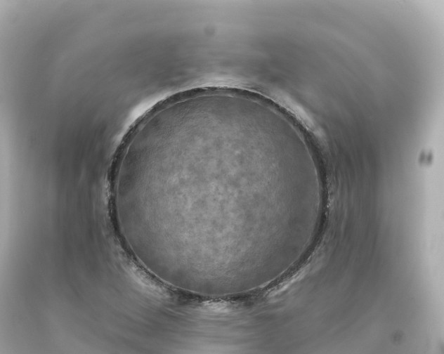 X0000094211264200711021107