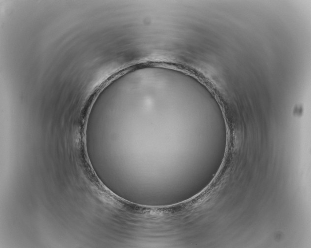 X0000094211266200711021107