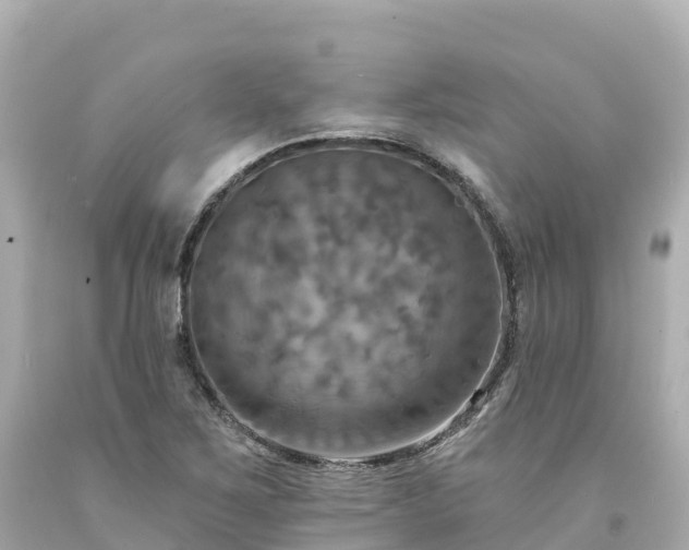 X0000094211267200711021107