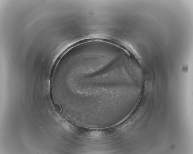 X0000094211268200711021107