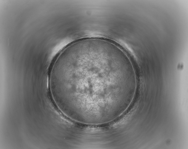 X0000094211269200711021107