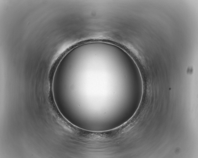 X0000094211270200711021107