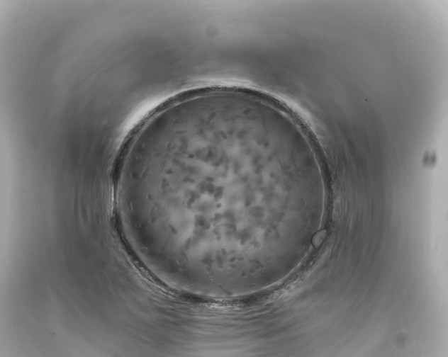 X0000094211271200711021107