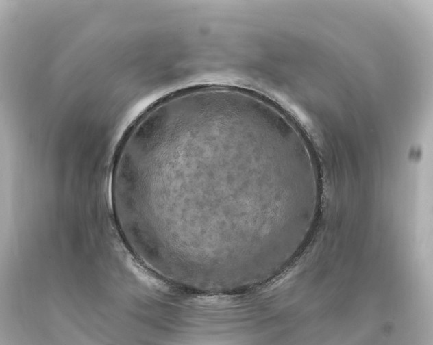 X0000094211272200711021107